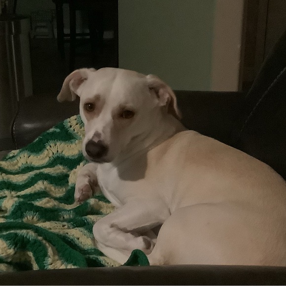 Meet your Posher, Angela - Picture 6 of 6